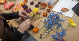 Preserved wedding flowers being arranged for resin preservation — how much does flower preservation cost