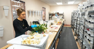 Wondering how flower preservation actually works? Here's a step-by-step look at the resin preservation process — from the morning after your wedding to the finished piece.