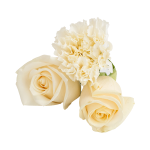 Fresh white roses and carnation before flower preservation at Everlasting Bloom Co.