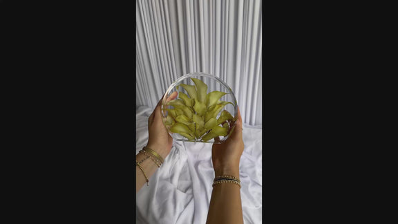 Short video of a small standing circle resin keepsake made from preserved wedding blooms.