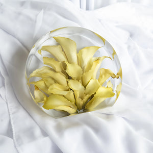 Resin standing circle keepsake featuring preserved yellow calla lilies, displayed on soft white fabric.